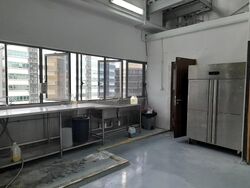 Mactaggart Foodlink (D13), Factory #459411281